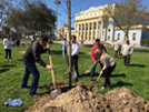 Image of Team Vidak members with Hanford Parks and Recreation Department and Tree Commission planting a tree in Courthouse Square.