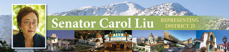 Senator Carol Liu's Banner