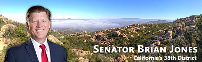 Senator Brian Jones Banner